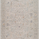 surya avant garde avt 2348 taupe rug