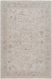 surya avant garde avt 2348 taupe rug