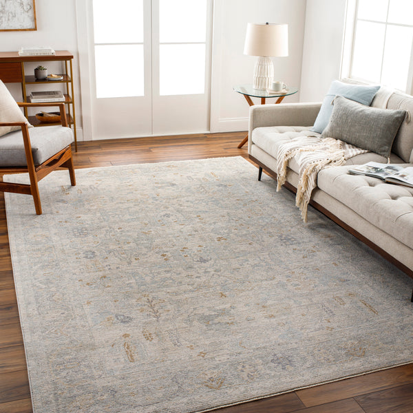 surya avant garde avt 2348 taupe rug