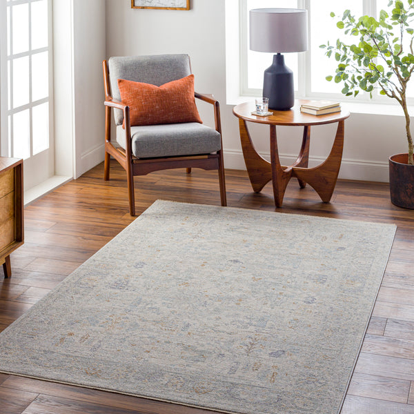 surya avant garde avt 2348 taupe rug