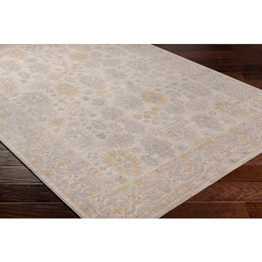 surya avant garde avt 2353 taupe rug