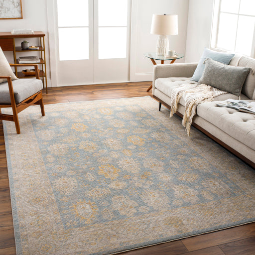 surya avant garde avt 2354 sage rug