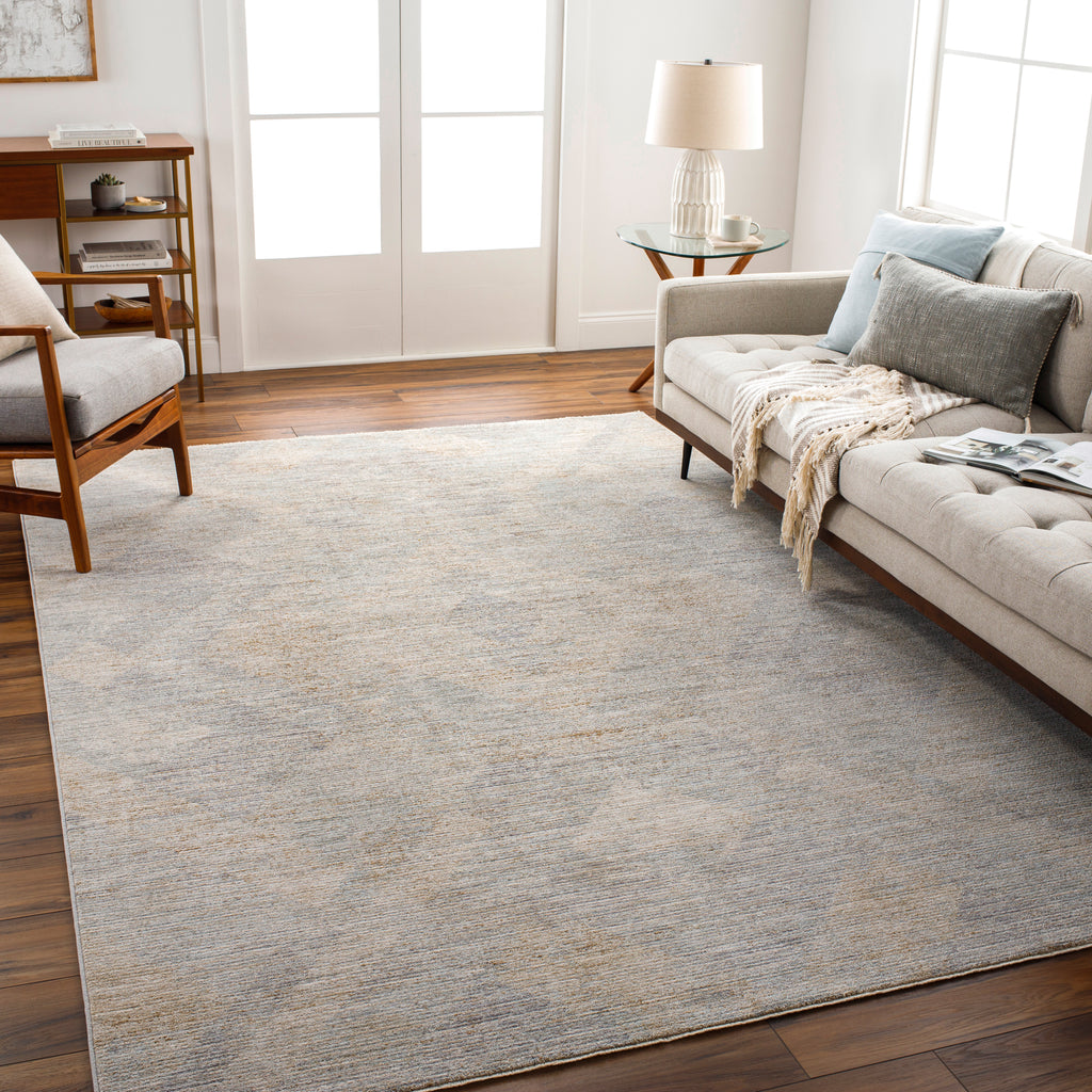 surya avant garde avt 2356 taupe rug
