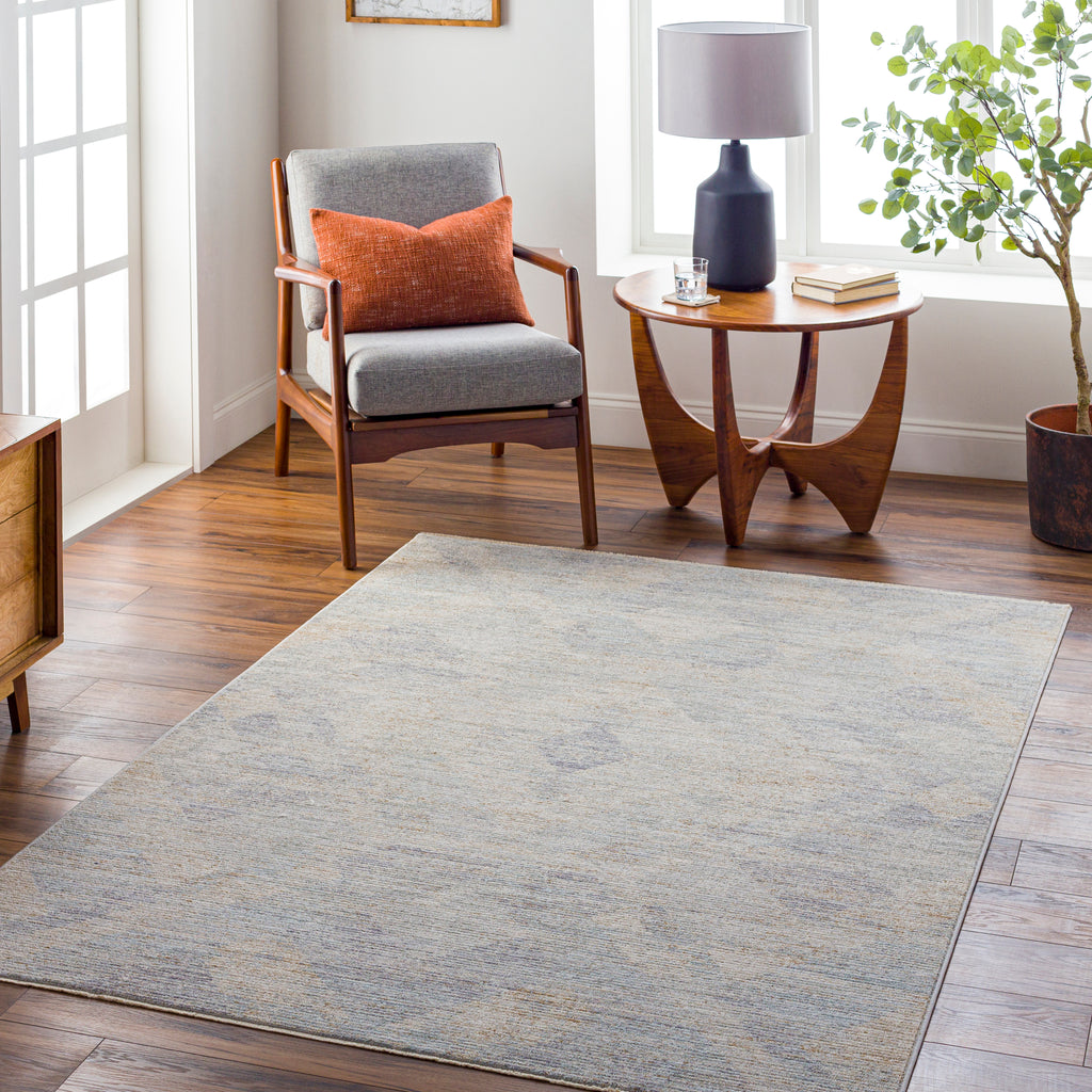 surya avant garde avt 2356 taupe rug