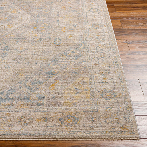 surya avant garde avt 2360 taupe rug
