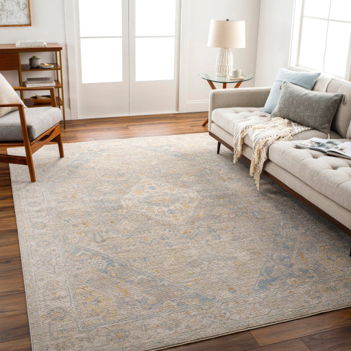 surya avant garde avt 2360 taupe rug