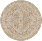surya avant garde avt 2362 taupe rug