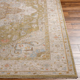 surya avant garde avt 2363 taupe rug