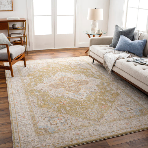 surya avant garde avt 2363 taupe rug
