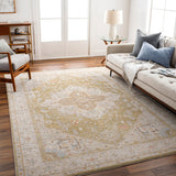 surya avant garde avt 2363 taupe rug