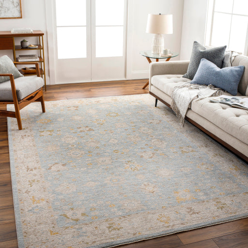 surya avant garde avt 2369 taupe rug