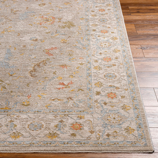 surya avant garde avt 2373 taupe rug