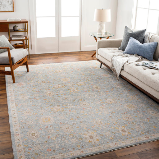 surya avant garde avt 2375 taupe rug