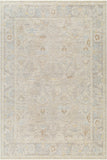 surya avant garde avt 2378 taupe rug