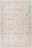 surya avant garde avt 2381 taupe rug