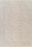 surya avant garde avt 2382 taupe rug