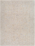 surya avant garde avt 2382 taupe rug