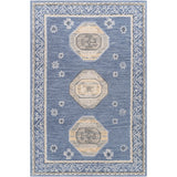 surya addyson ayo 2300 pewter rug