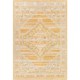 surya addyson ayo 2302 tan rug