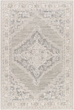 surya addyson ayo 2303 light grey rug