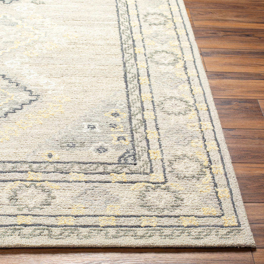 surya addyson ayo 2304 ash rug
