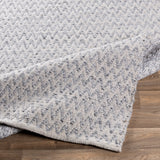 Surya Rug Co. Azalea Medium Gray Rug | Azalea Rugs | Rugs Done Right 