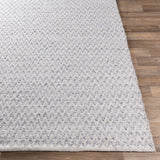 Surya Rug Co. Azalea Medium Gray Rug | Woven Rugs | Rugs Done Right 