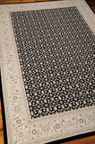 Nourison Clearance Persian Empire PE26 Black Rug