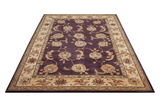 Nourison Nourison 2000 2022 Lavender Rug