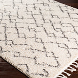 surya rug co berber shag bbe2301 beige rug
