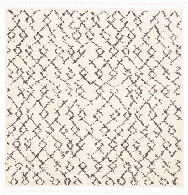 Surya Closeout Berber Shag BBE-2301 Beige Rug