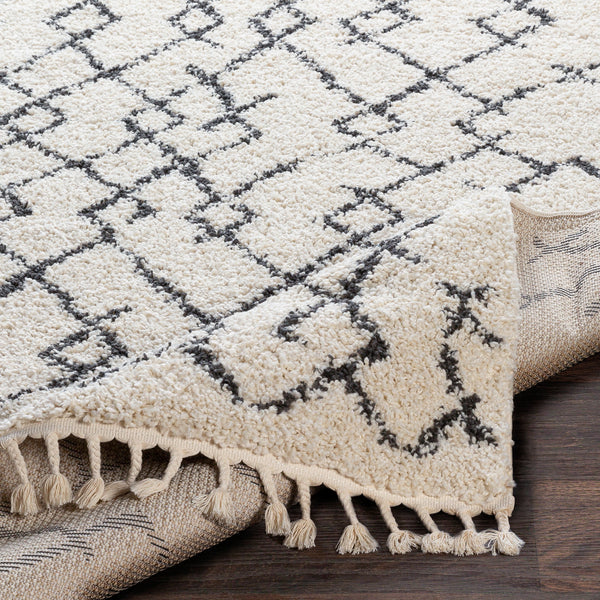 surya rug co berber shag bbe2301 beige rug