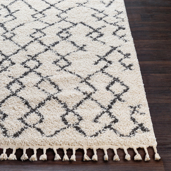 surya rug co berber shag bbe2301 beige rug