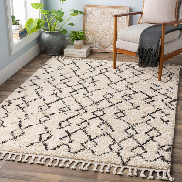 Surya Closeout Berber Shag BBE-2301 Beige Rug