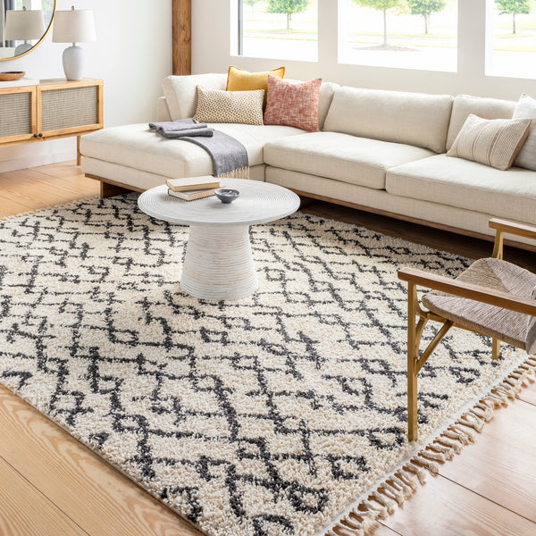 Surya Closeout Berber Shag BBE-2301 Beige Rug