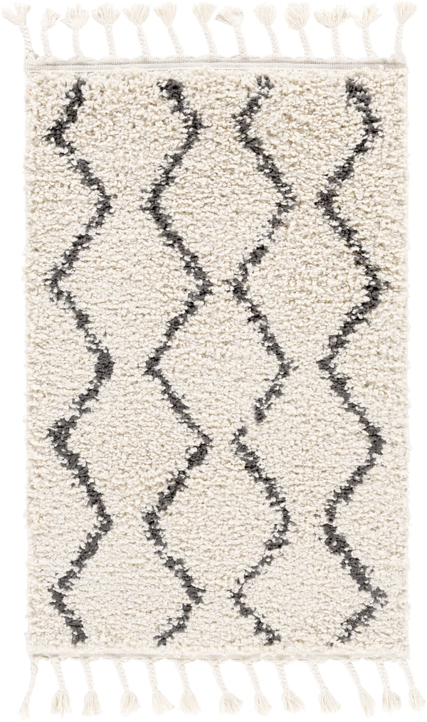 Surya Rug Co. Berber Shag Beige Rug | Berber Rugs | Rugs Done Right 