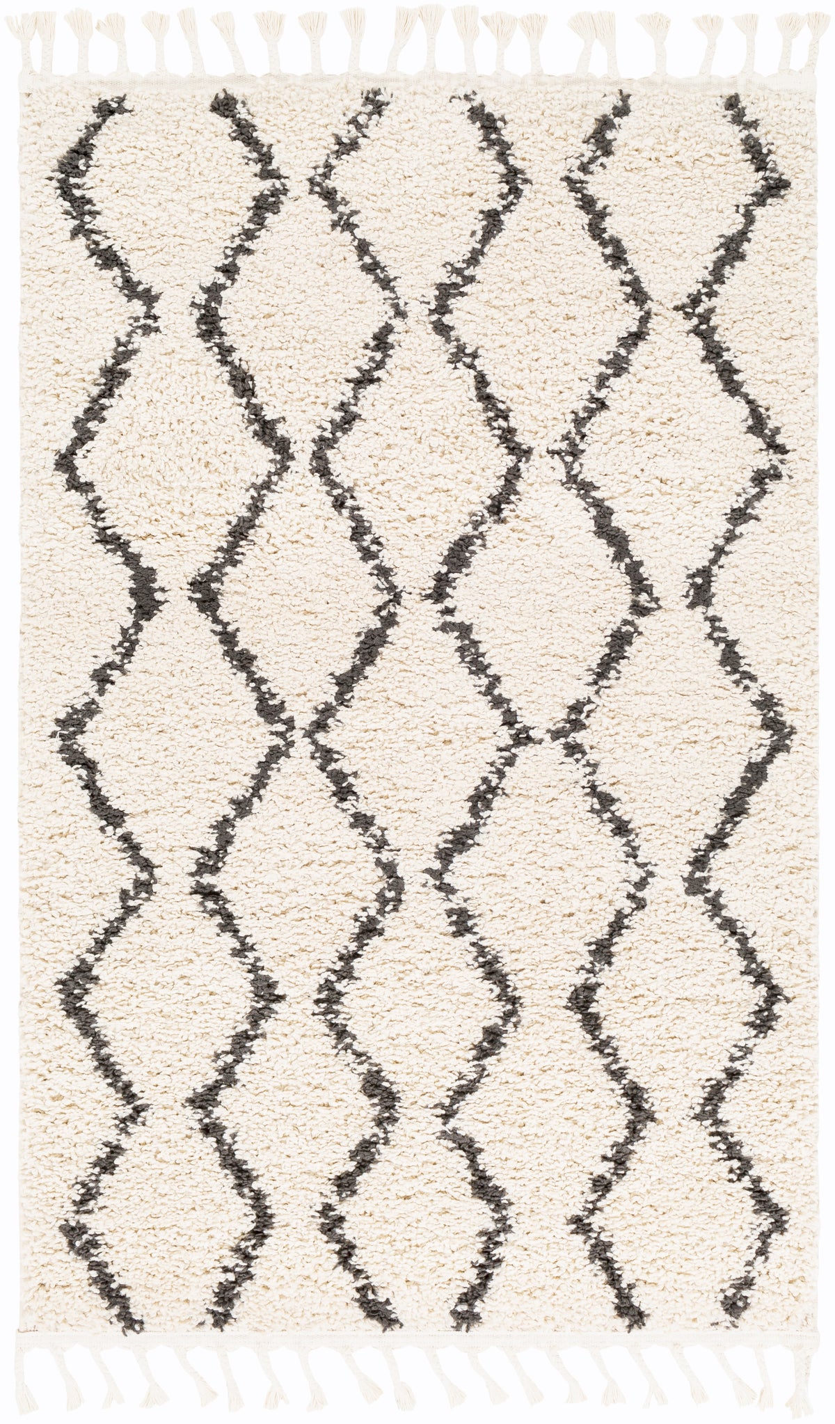 Surya Rug Co. Berber Shag Beige Rug | Surya Rugs | Rugs Done Right 