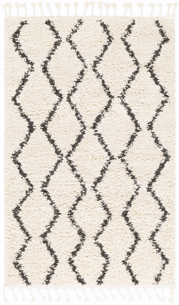Surya Rug Co. Berber Shag Beige Rug | Surya Rugs | Rugs Done Right 