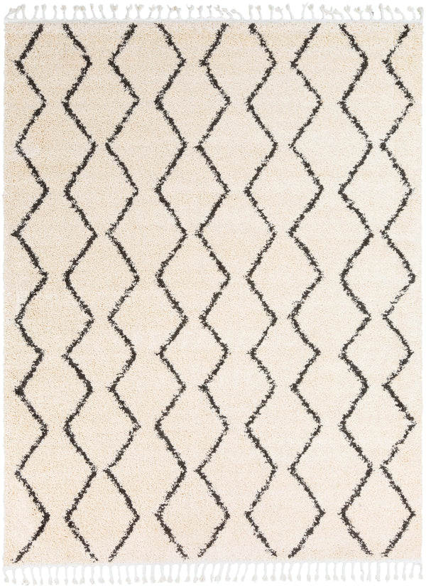 Surya Rug Co. Berber Shag Beige Rug | Beige Rugs | Rugs Done Right 