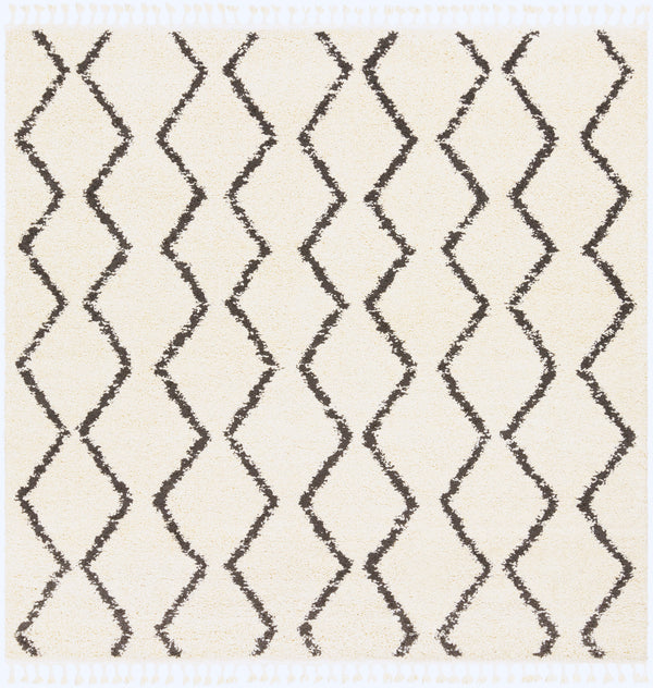 Surya Rug Co. Berber Shag Beige Rug | Two Tone Rugs | Rugs Done Right 