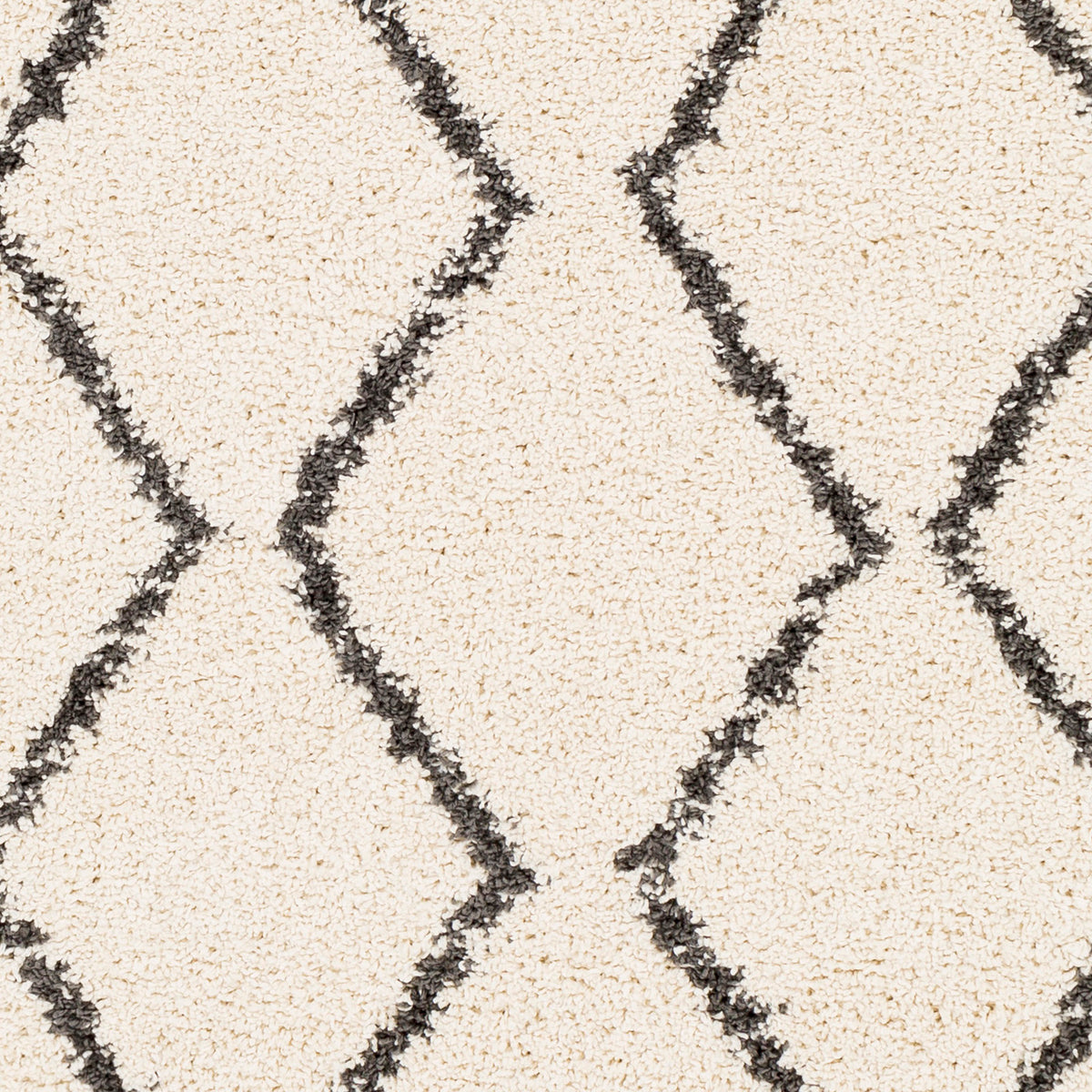 Surya Rug Co. Berber Shag Beige Rug | Charcoal Rugs | Rugs Done Right 
