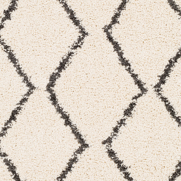 Surya Rug Co. Berber Shag Beige Rug | Charcoal Rugs | Rugs Done Right 
