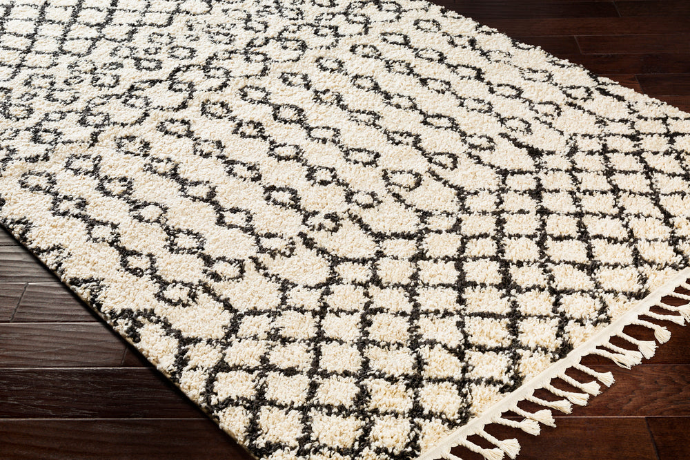Surya Closeout Berber Shag BBE-2309 Charcoal Rug