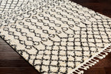 Surya Closeout Berber Shag BBE-2309 Charcoal Rug