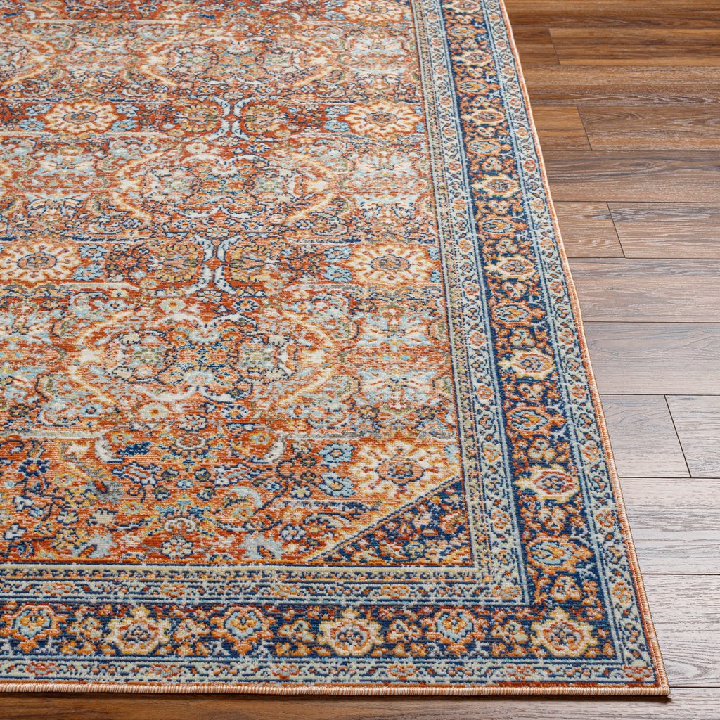 surya bodrum bdm 2347 tan rug