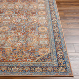 surya bodrum bdm 2347 tan rug