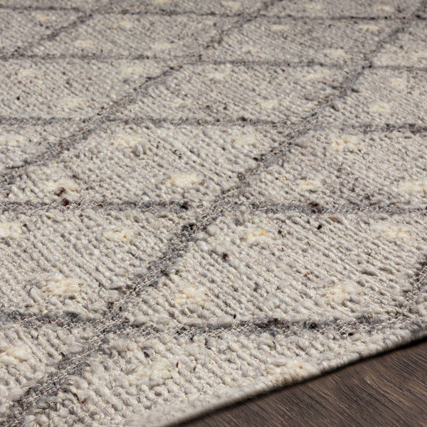 surya bremen ben 2305 light gray rug