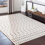 Surya Closeout Bahar BHR-2312 Charcoal Rug