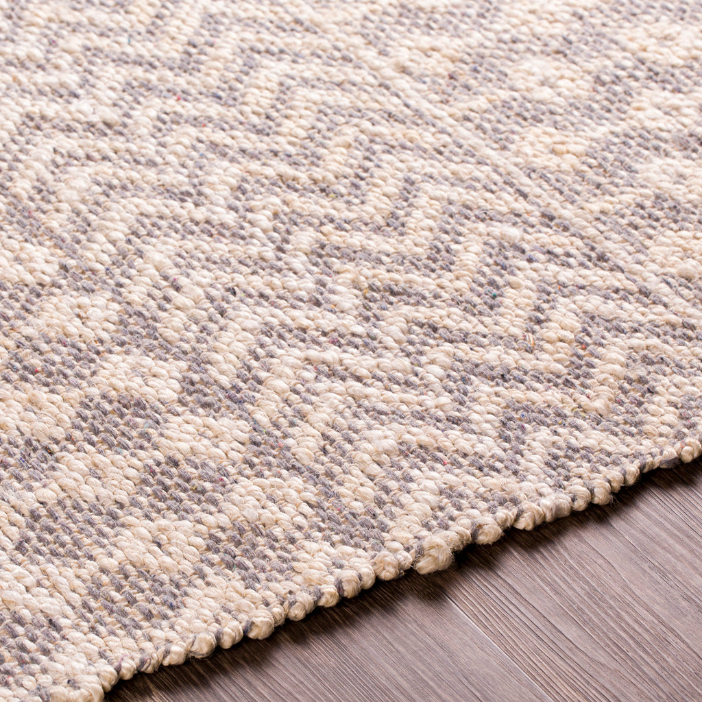surya bryant bra 2401 beige rug