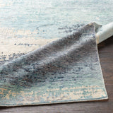 Surya Rug Co. Baranof BRF-1000 Aqua Rug